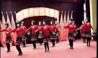 中老年广场舞教学视频